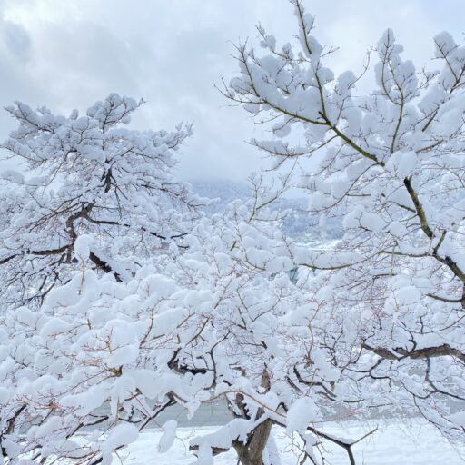 アウトドア探検家